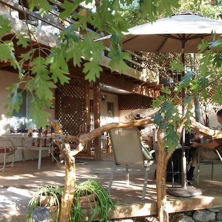 Wikiup Hummingbird Hotel Джулиан Екстериор снимка